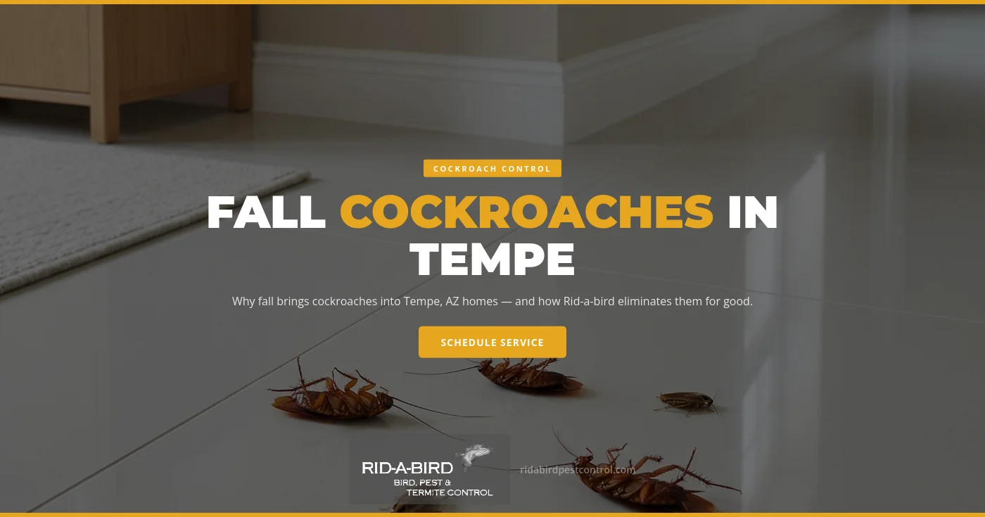 Fall cockroach control in Tempe, AZ — Rid-a-bird technician inspecting an East Valley kitchen for German cockroach harborage behind an appliance