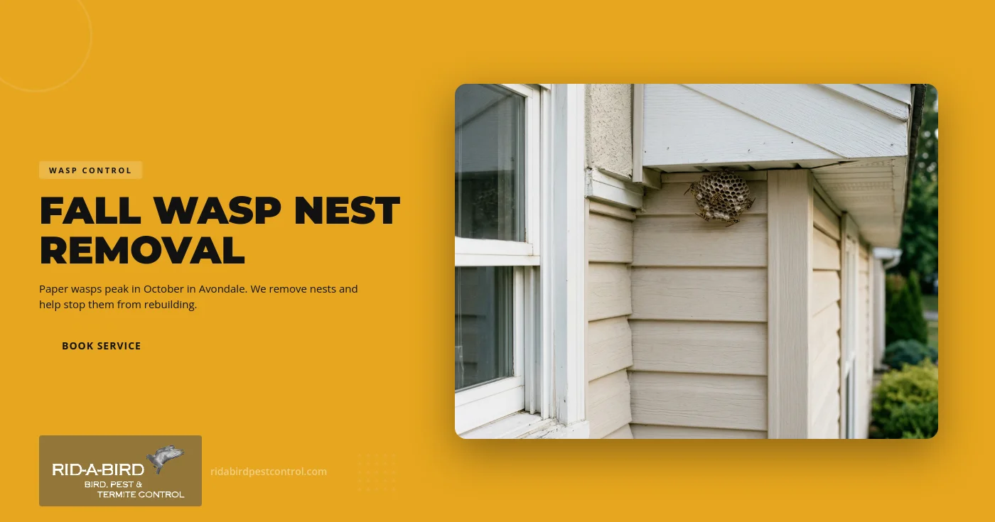A gray, umbrella-shaped paper wasp nest with wasps clustered on its open cells hangs beneath the stucco eave of a home in Avondale, Arizona.