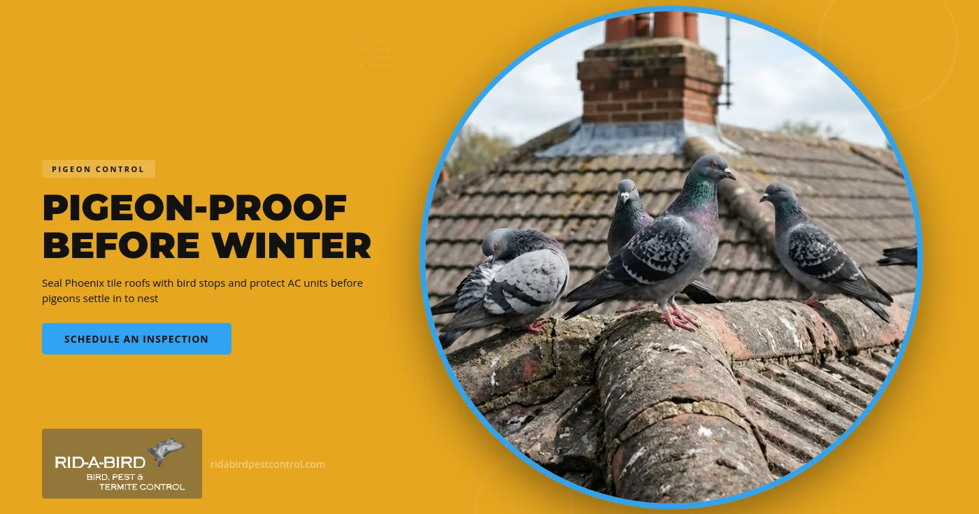 A pigeon perched at the open eave of a terracotta barrel tile roof next to a rooftop AC unit on a home in Phoenix, Arizona.