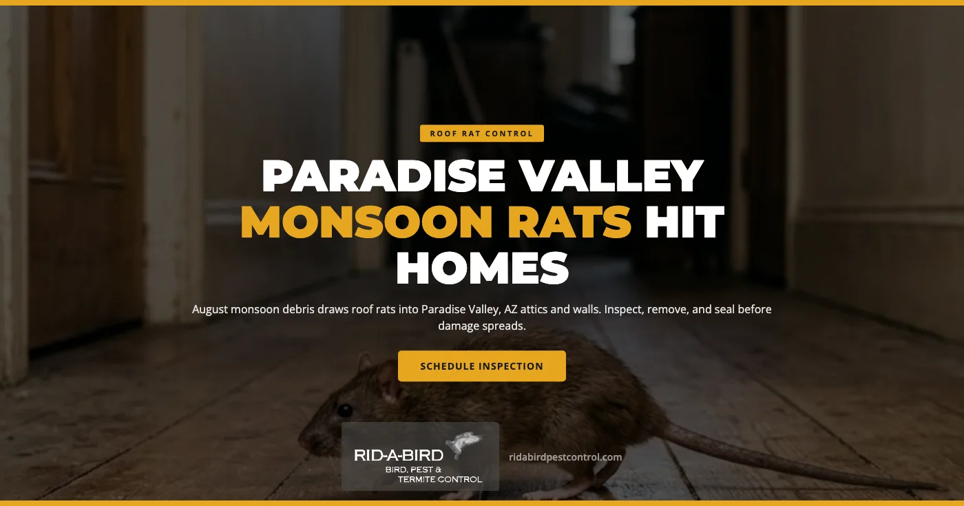 How August Monsoon Debris Draws Roof Rats Into Paradise Valley, AZ Homes